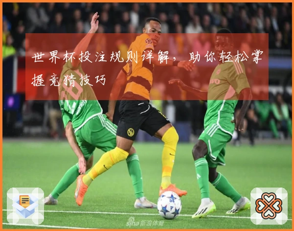 世界杯投注规则详解，助你轻松掌握竞猜技巧