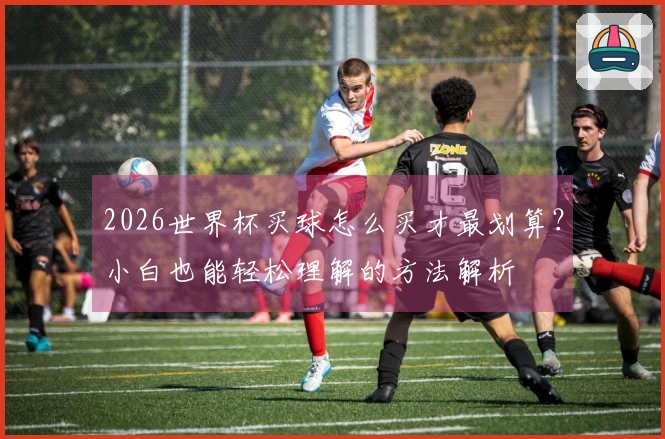 2026世界杯买球怎么买才最划算？小白也能轻松理解的方法解析