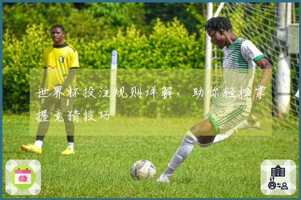 世界杯投注规则详解，助你轻松掌握竞猜技巧
