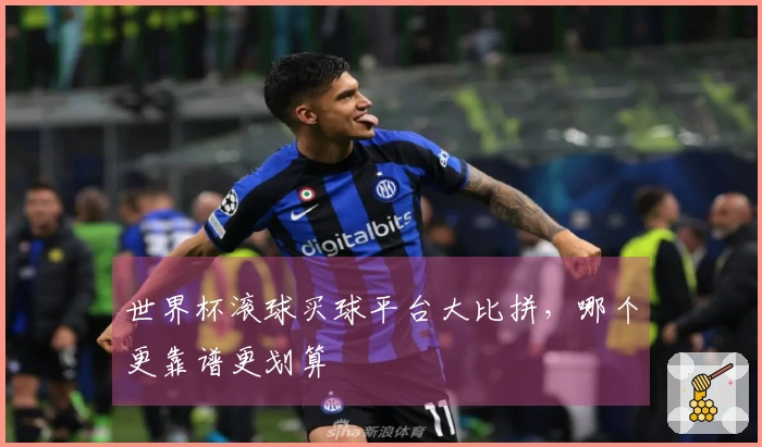 世界杯滚球买球平台大比拼，哪个更靠谱更划算