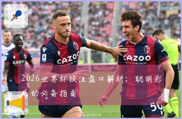 2026世界杯投注盘口解析：聪明彩民的必备指南