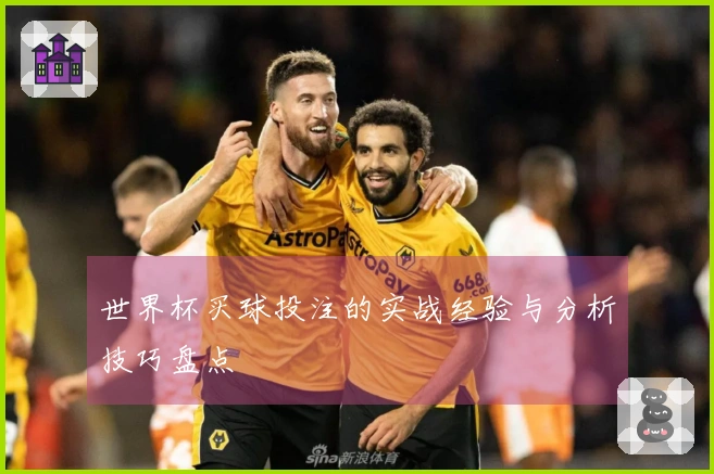 世界杯买球投注的实战经验与分析技巧盘点
