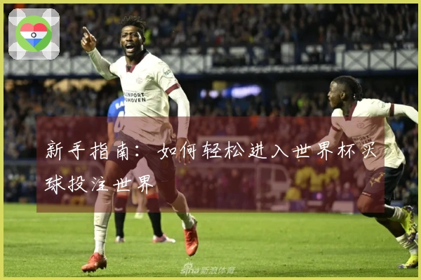 新手指南：如何轻松进入世界杯买球投注世界