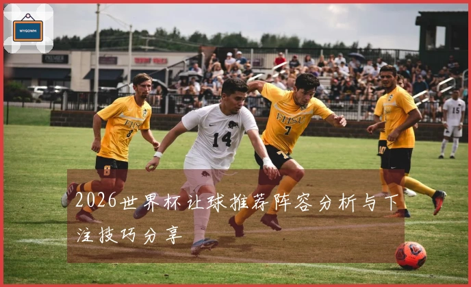 2026世界杯让球推荐阵容分析与下注技巧分享