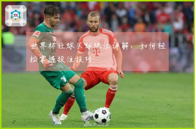 世界杯让球买球玩法详解，如何轻松掌握投注技巧