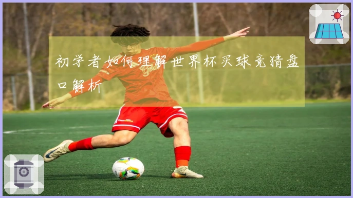 初学者如何理解世界杯买球竞猜盘口解析