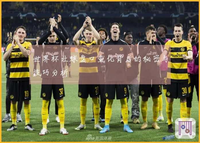 世界杯让球盘口变化背后的秘密与技巧分析