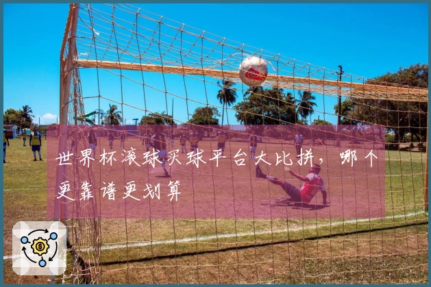 世界杯滚球买球平台大比拼，哪个更靠谱更划算