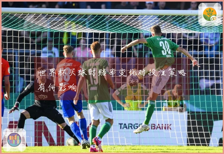 世界杯买球时赔率变化对投注策略有何影响
