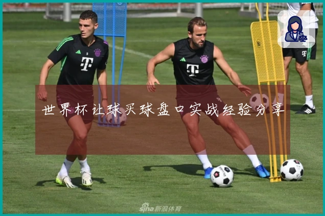 世界杯让球买球盘口实战经验分享